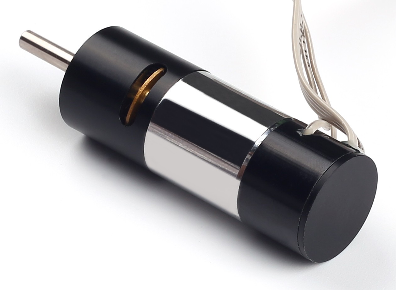 空心杯直流電機(jī) WKRE1625-0606G63 空心杯直流電機(jī) WKRE1625-0606G63
